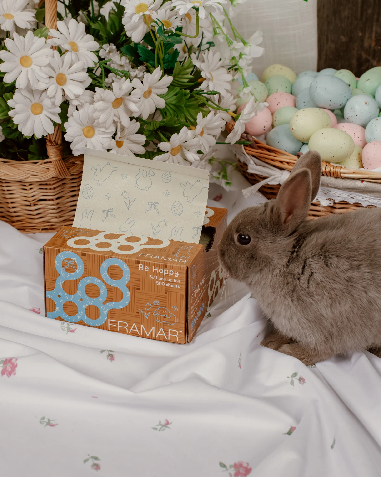 Be Hoppy - Pop Up - Image 3