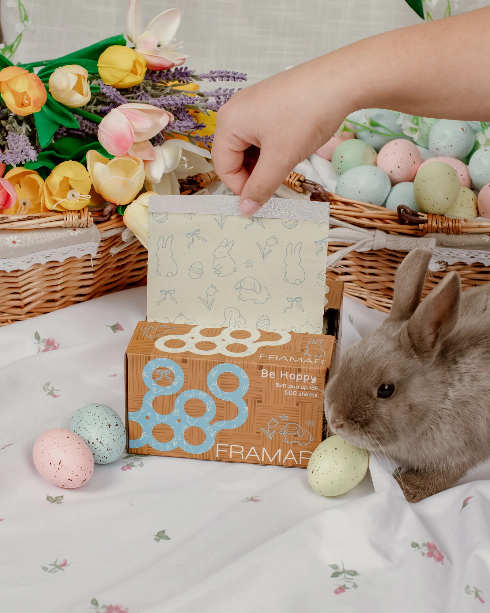 Be Hoppy - Pop Up - Image 4