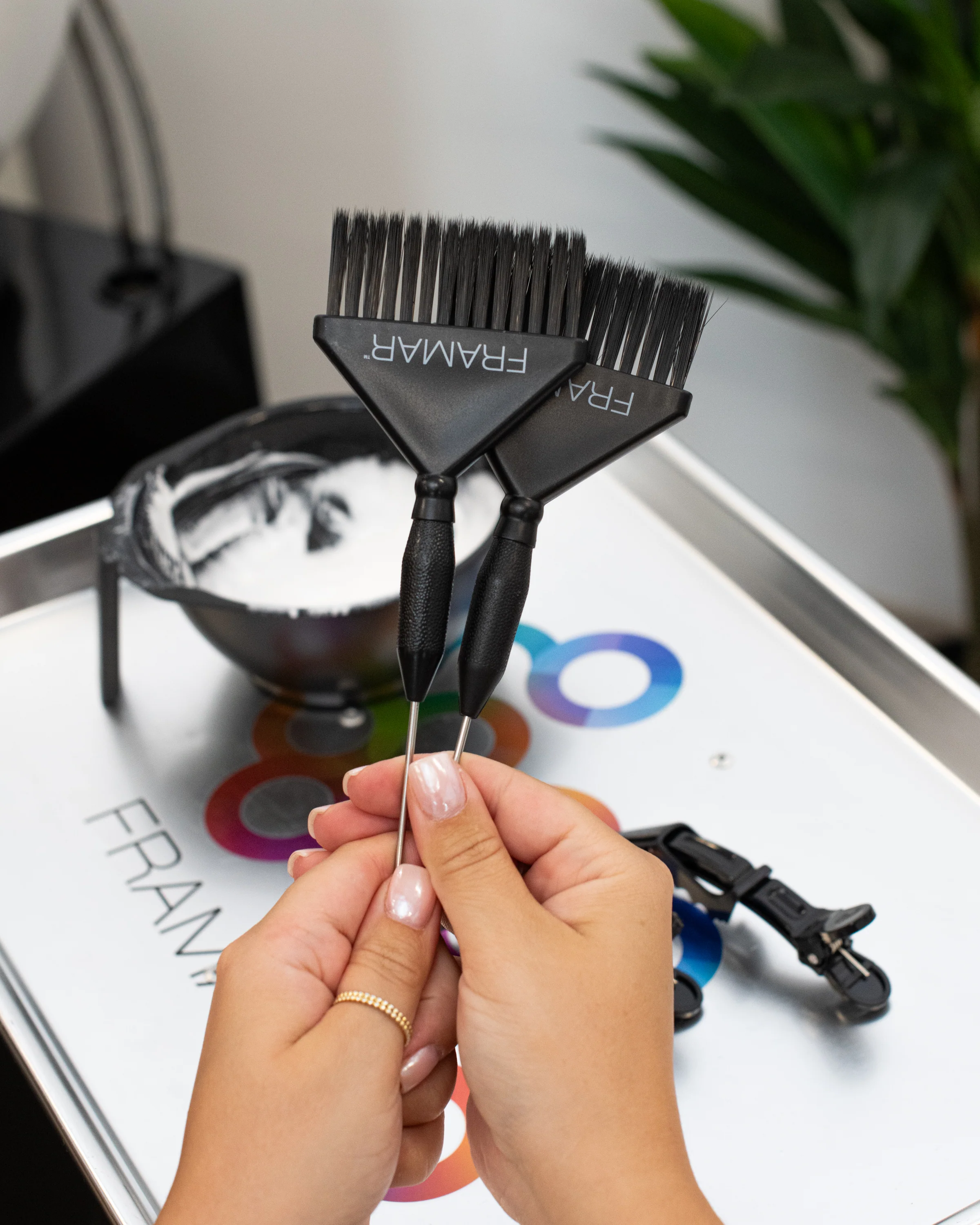 Pintail Big Daddy Brush Set - Image 5