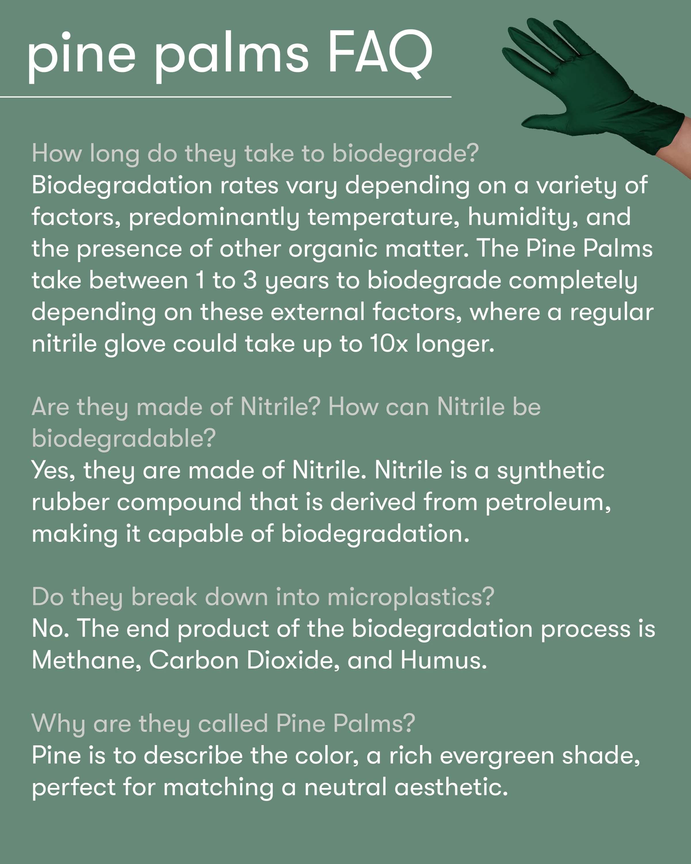 Pine Palms Biodegradable Nitrile Gloves - 100 count - Image 7