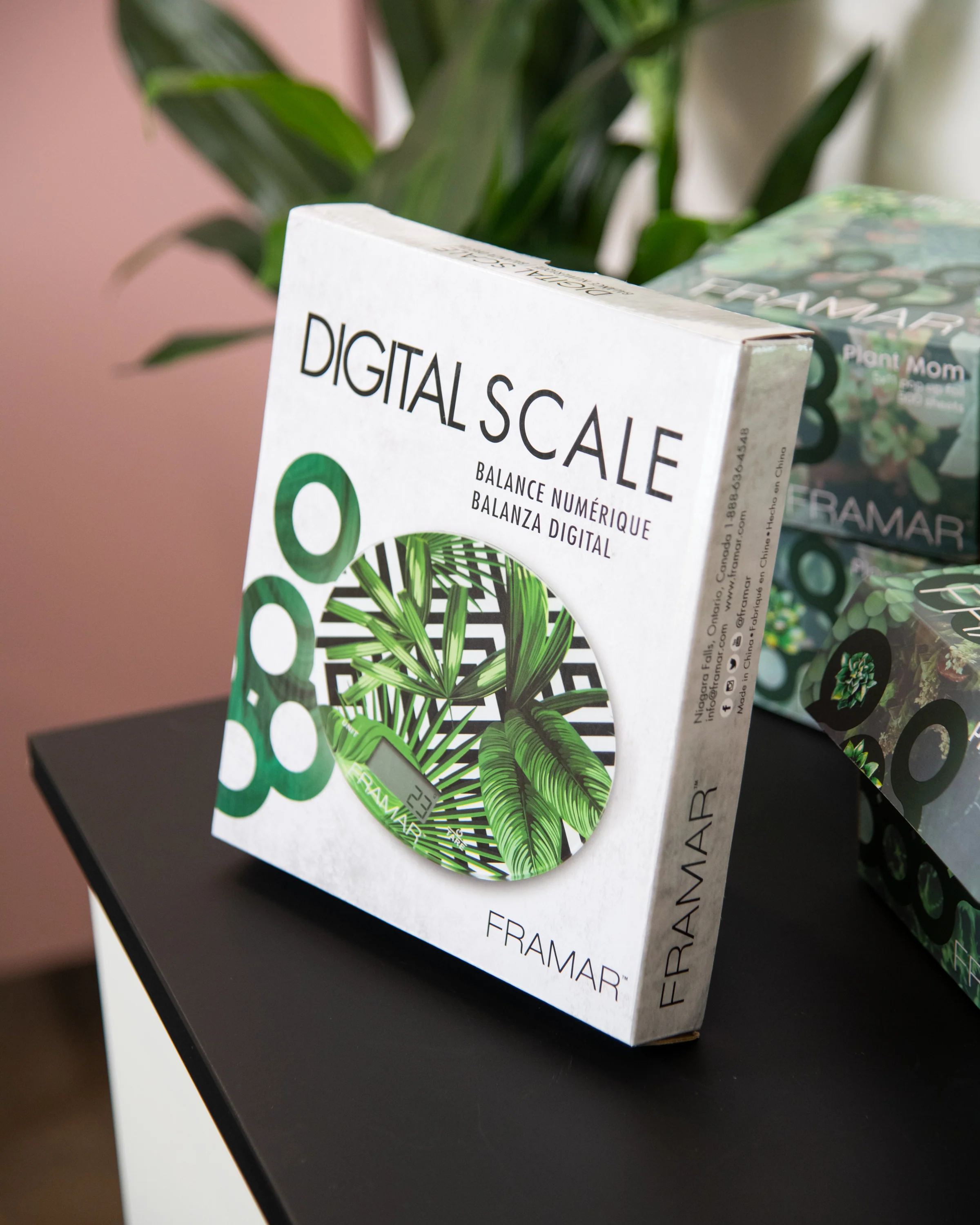 Plant Scale - Image 6