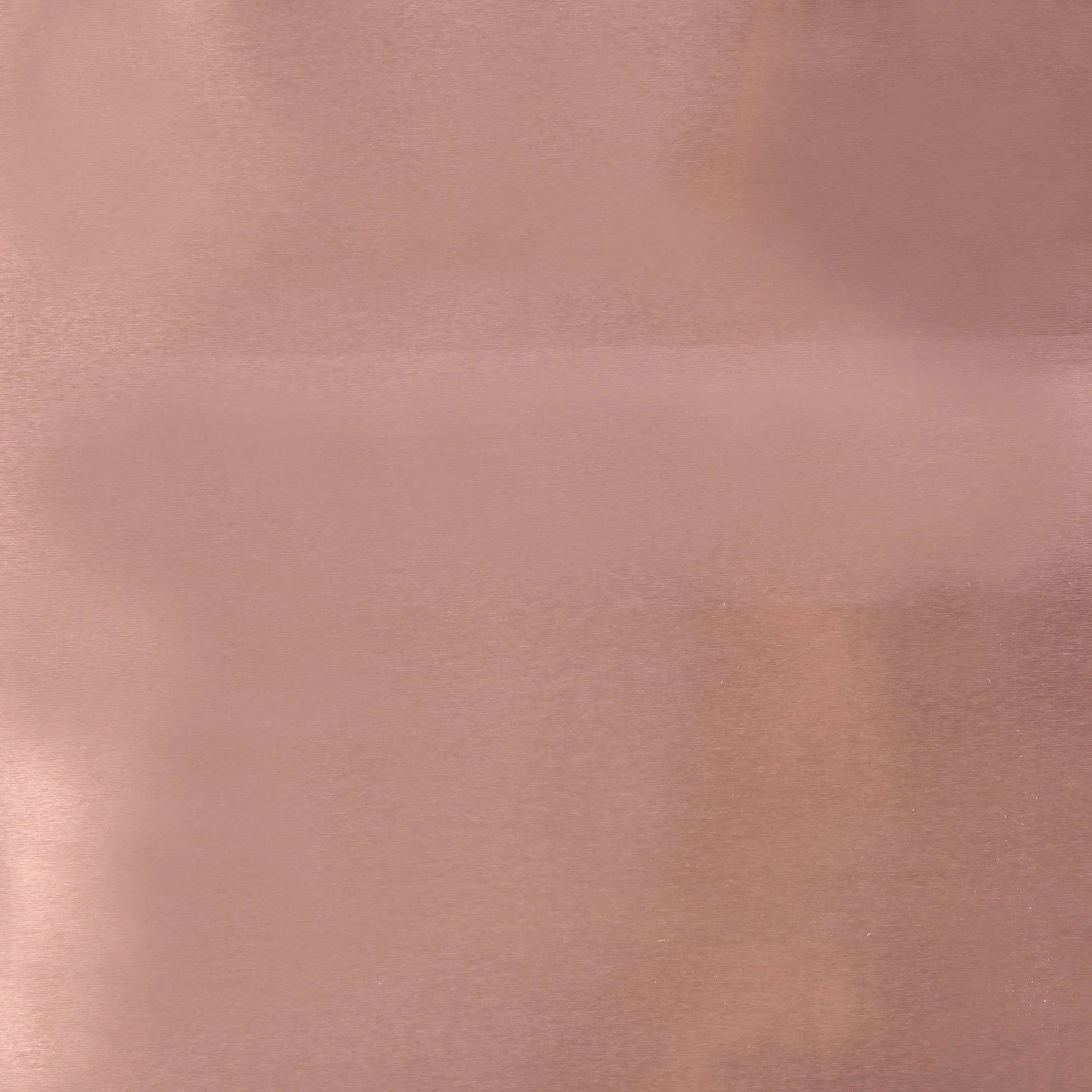 Rose - Small Roll Medium - Image 3