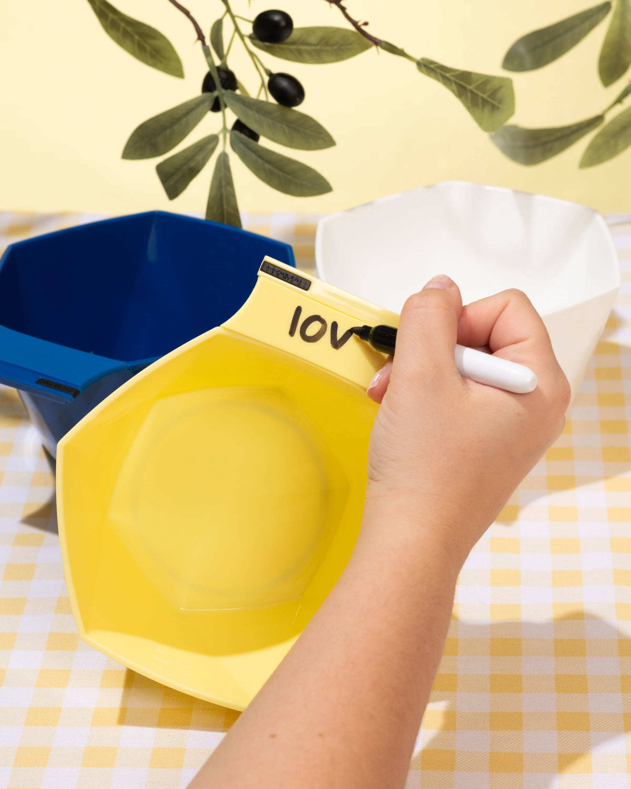 Limoncello - Write N' Wipe Color Bowls - Image 3