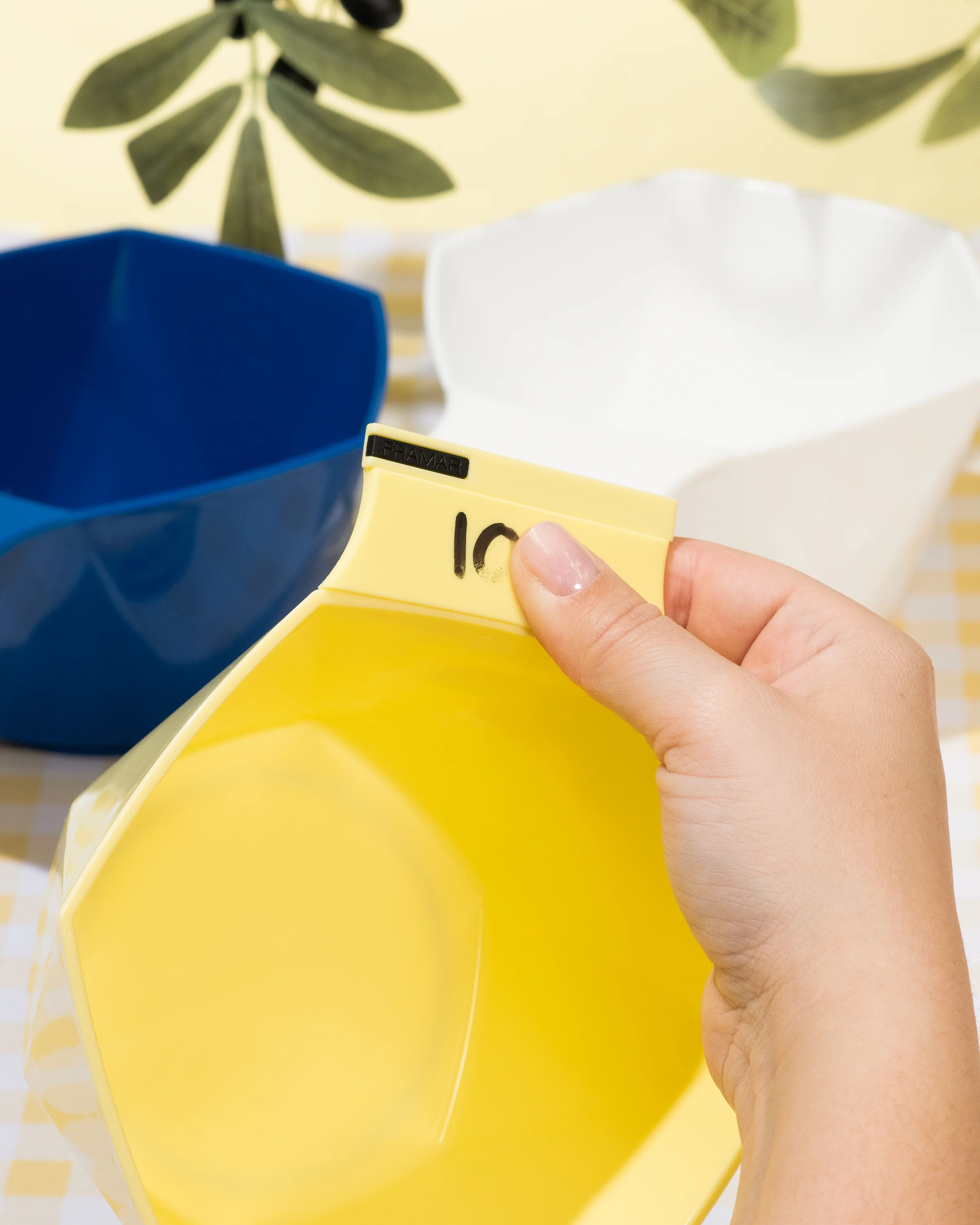 Limoncello - Write N' Wipe Color Bowls - Image 4