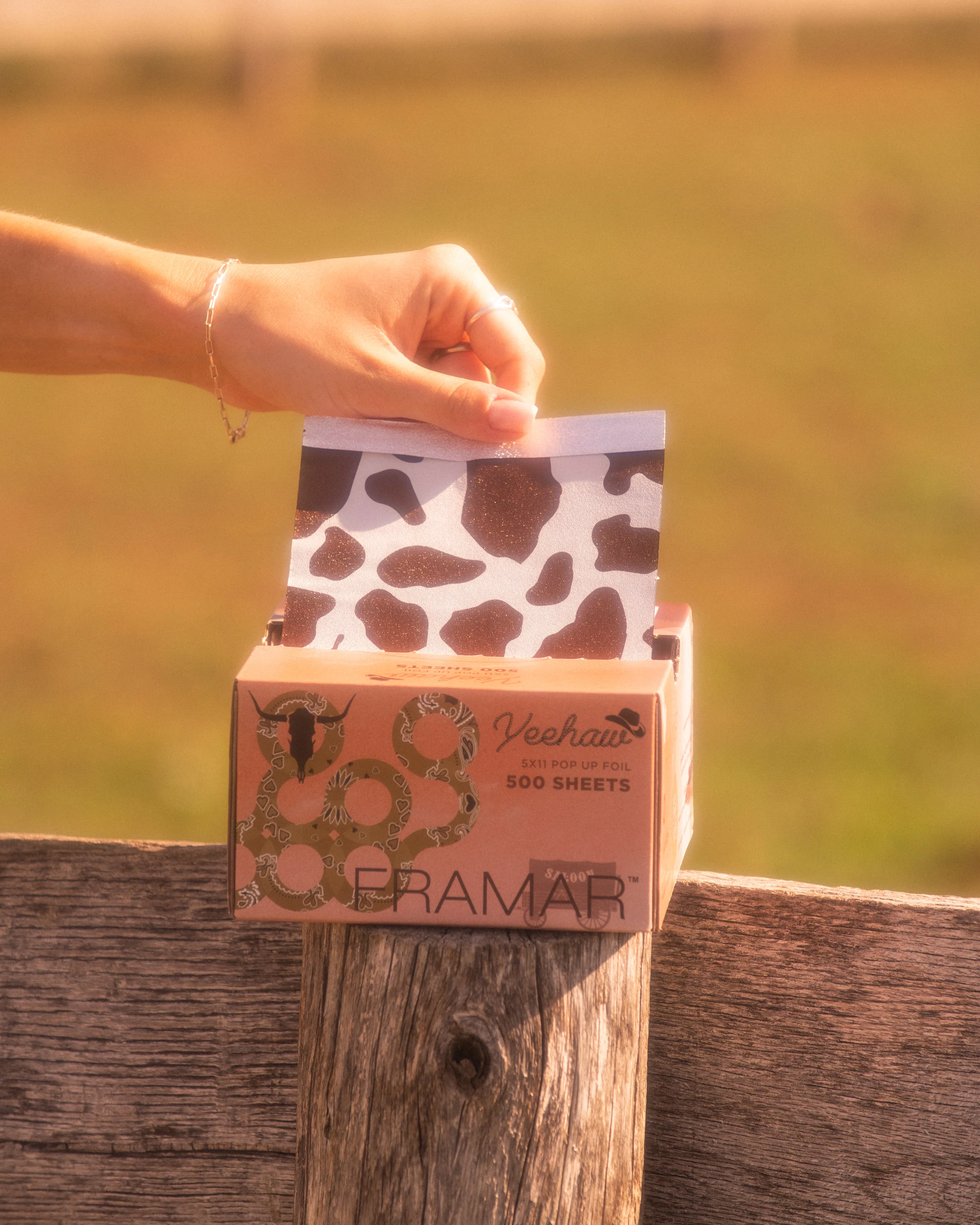 Yeehaw - Pop Up* - Image 4