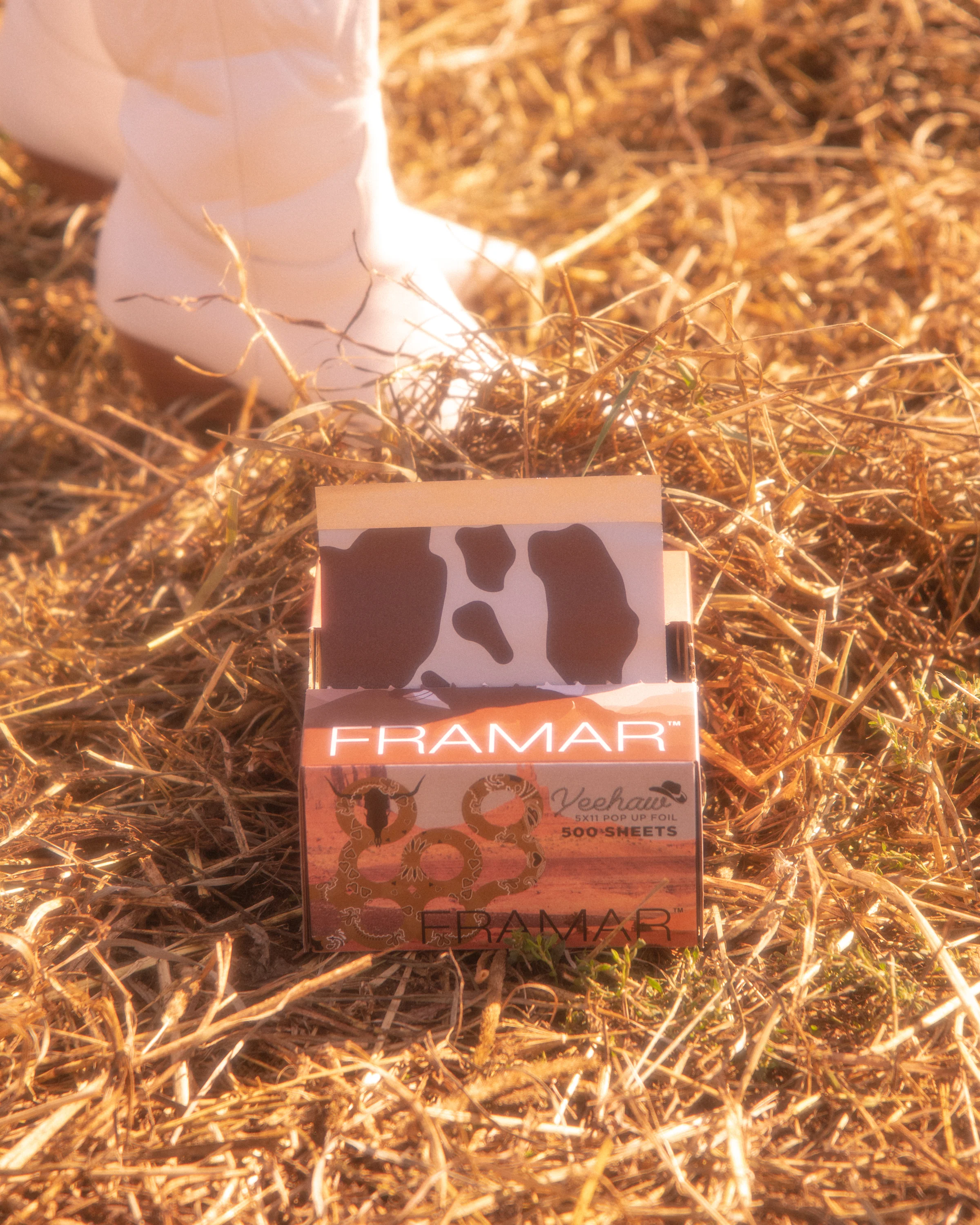 Yeehaw - Pop Up* - Image 5